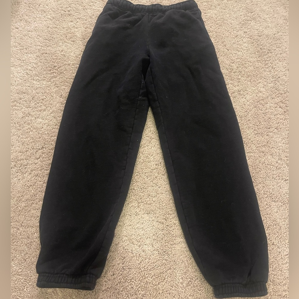 Aritzia Cozy Fleece Mega Sweatpant
